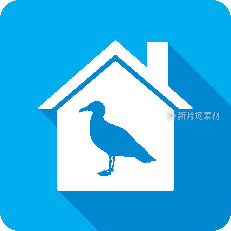 House Seagull图标剪影